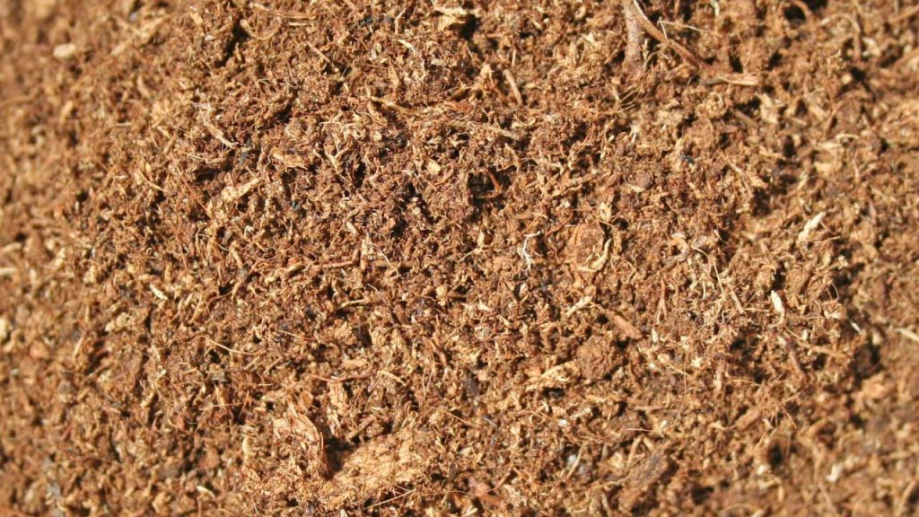 Why Living Soils is a ‘peatfree’ company