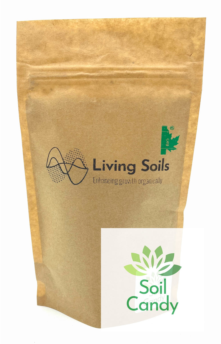 Soil Candy Living Soils