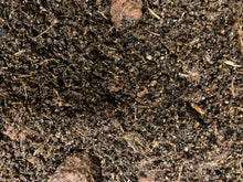 Load image into Gallery viewer, Pre-Mixed Living Soil: AUTO
