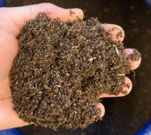 Load image into Gallery viewer, Pre-Mixed Living Soil: AUTO