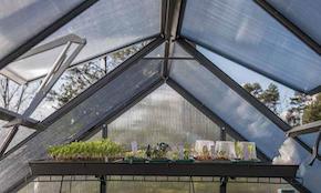 The importance of good ventilation in a greenhouse