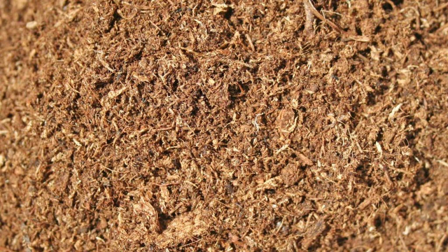 Why Living Soils is a ‘peat-free’ company