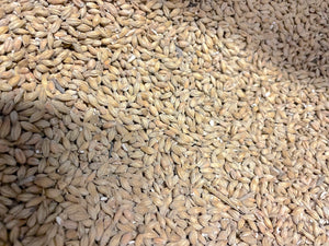 Malted Barley Powder