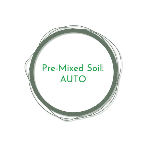 Pre Mixed Living Soil: Auto